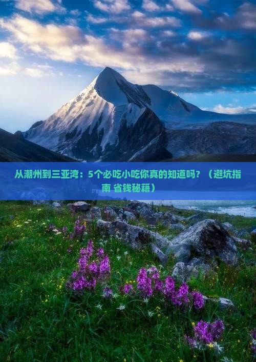 潮州前往三亚三亚湾旅游小吃