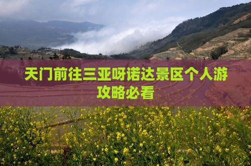 天门前往三亚呀诺达景区个人游 天门前往三亚呀诺达景区个人游