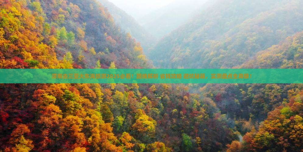 渭南去三亚大东海旅游