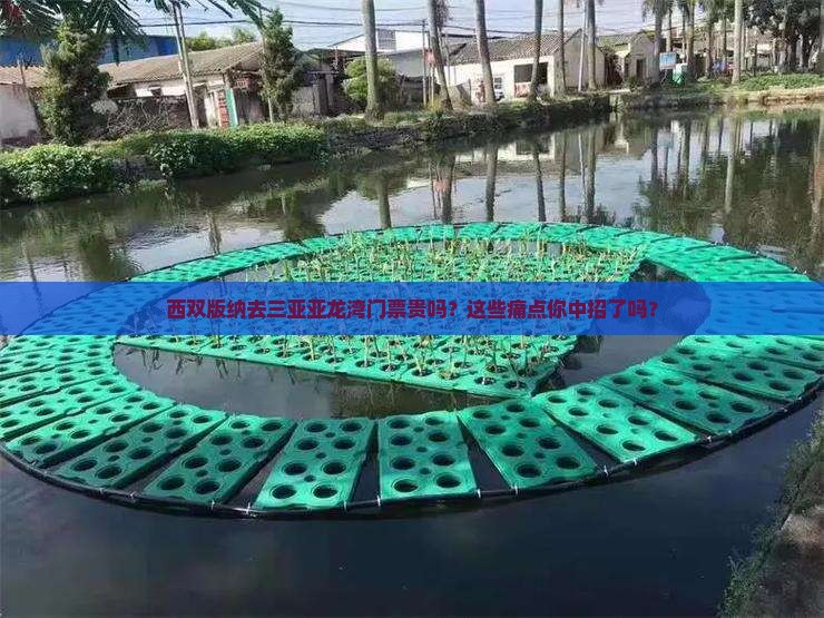 西双版纳去三亚亚龙湾门票