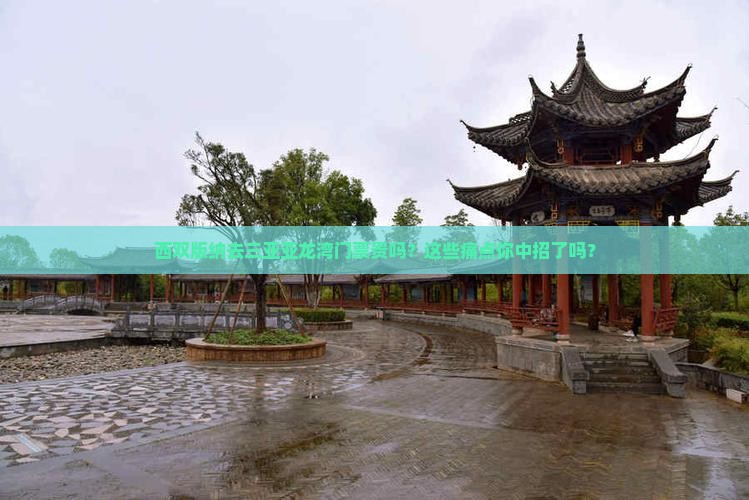 西双版纳去三亚亚龙湾门票