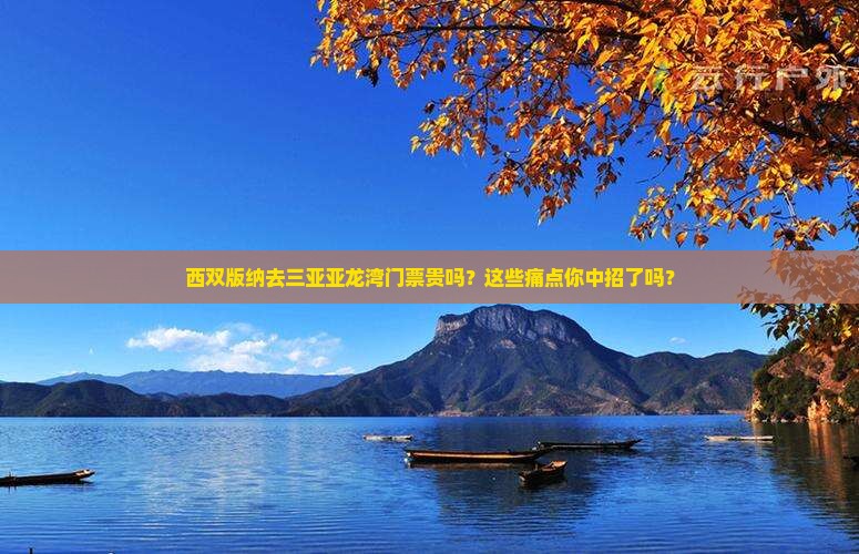 西双版纳去三亚亚龙湾门票