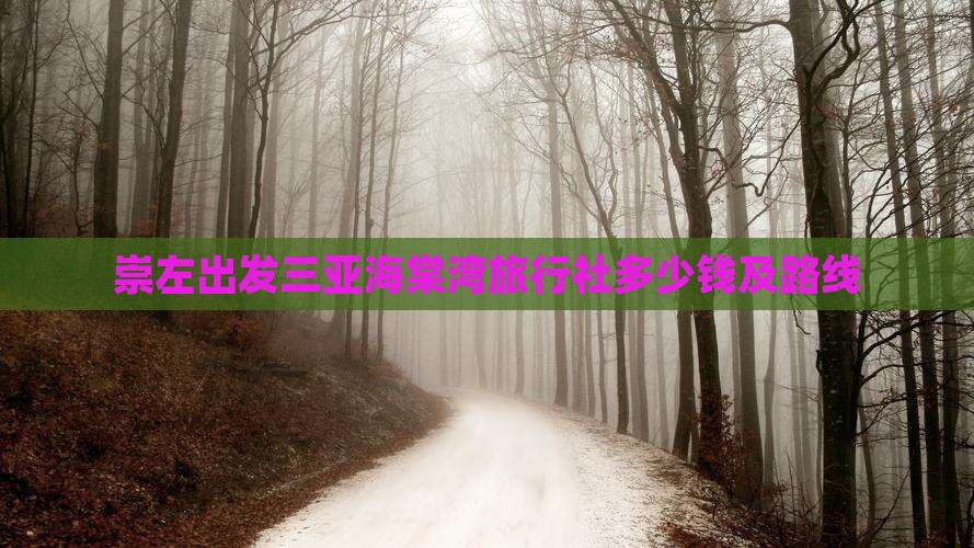 崇左出发三亚海棠湾旅行社