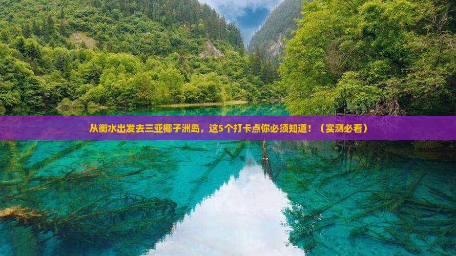 衡水出发三亚椰子洲岛旅游打卡点