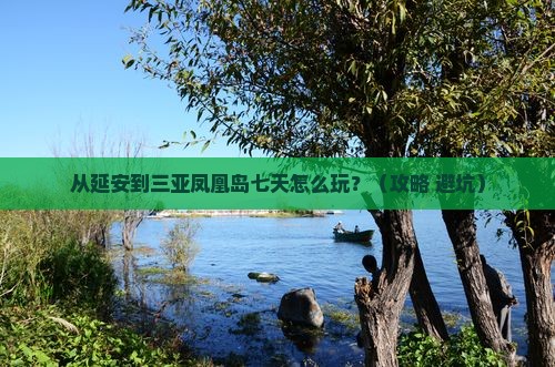 延安出发三亚凤凰岛七日游