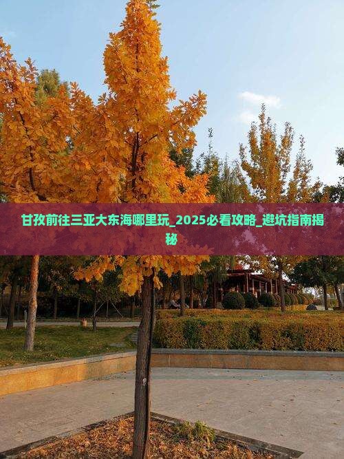 甘孜前往三亚大东海哪里玩