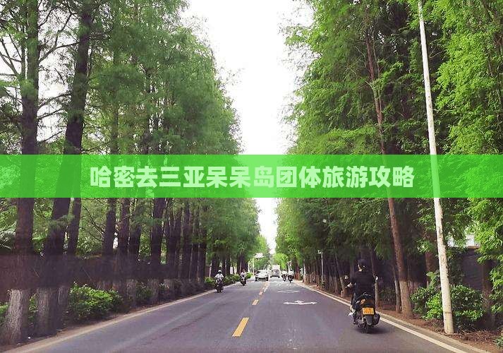 哈密去三亚呆呆岛团体旅游