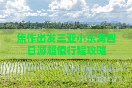 焦作出发三亚小东海四日游