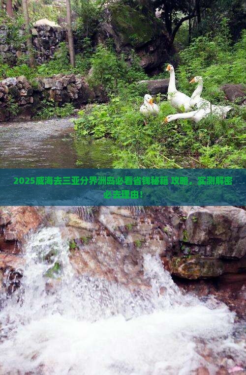 威海去三亚分界洲岛攻略