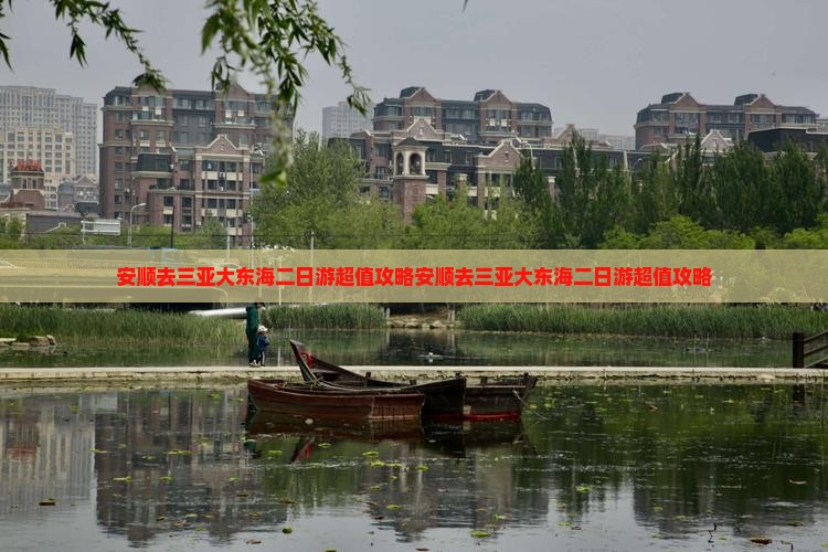 安顺去三亚大东海二日游