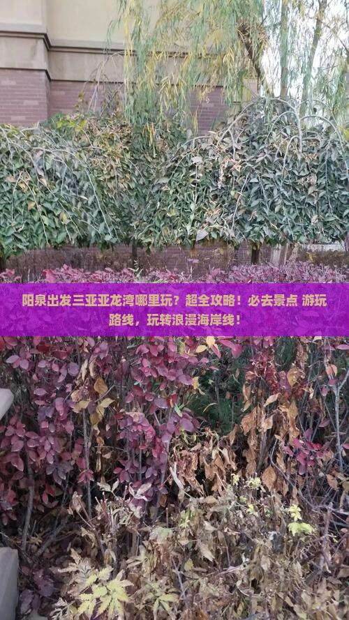 阳泉出发三亚亚龙湾哪里玩