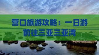 营口前往三亚三亚湾一日游