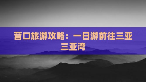 营口前往三亚三亚湾一日游