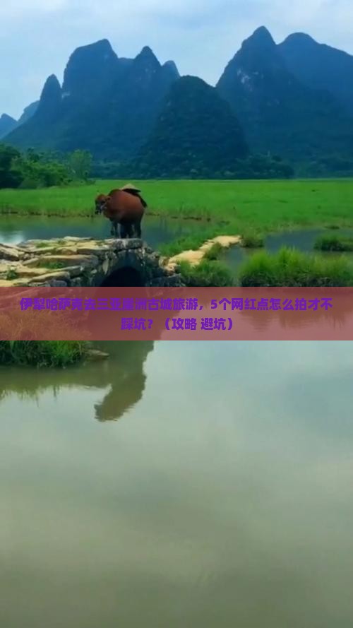 伊犁哈萨克前往三亚崖洲古城旅游网红地点