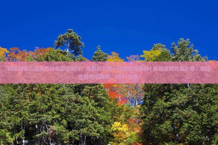 阿泰勒去三亚凤凰岭公园自由行