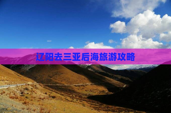 辽阳去三亚后海旅游