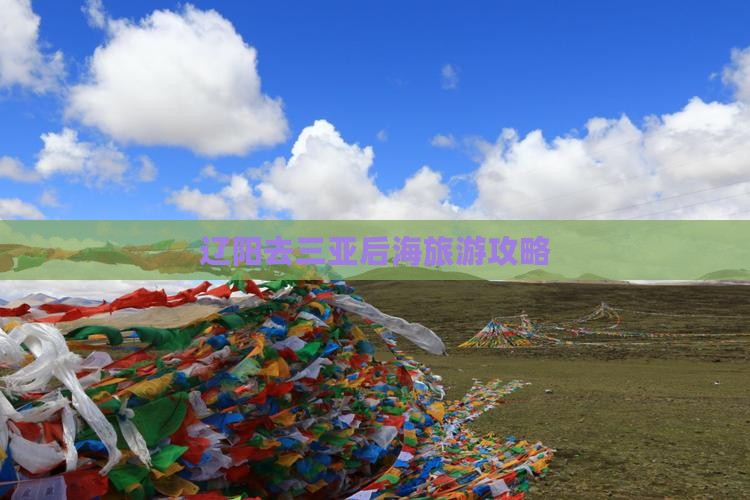 辽阳去三亚后海旅游