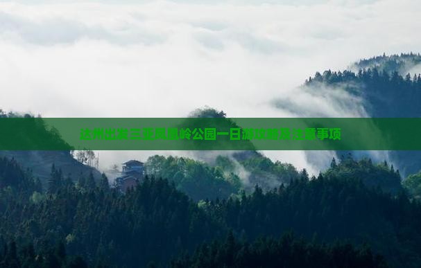达州出发三亚凤凰岭公园一日游