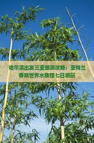 哈尔滨出发三亚亚特兰蒂斯水族馆七日游