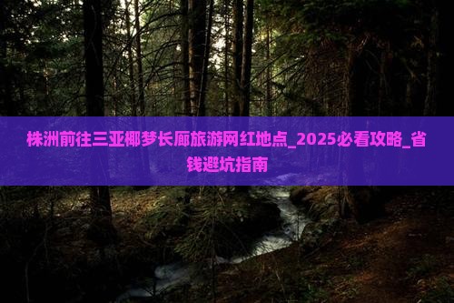 株洲前往三亚椰梦长廊旅游网红地点