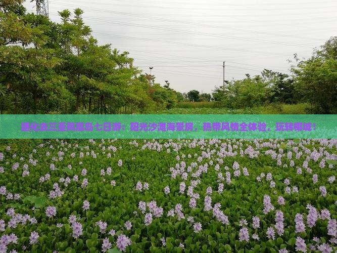 通化去三亚凤凰岛七日游