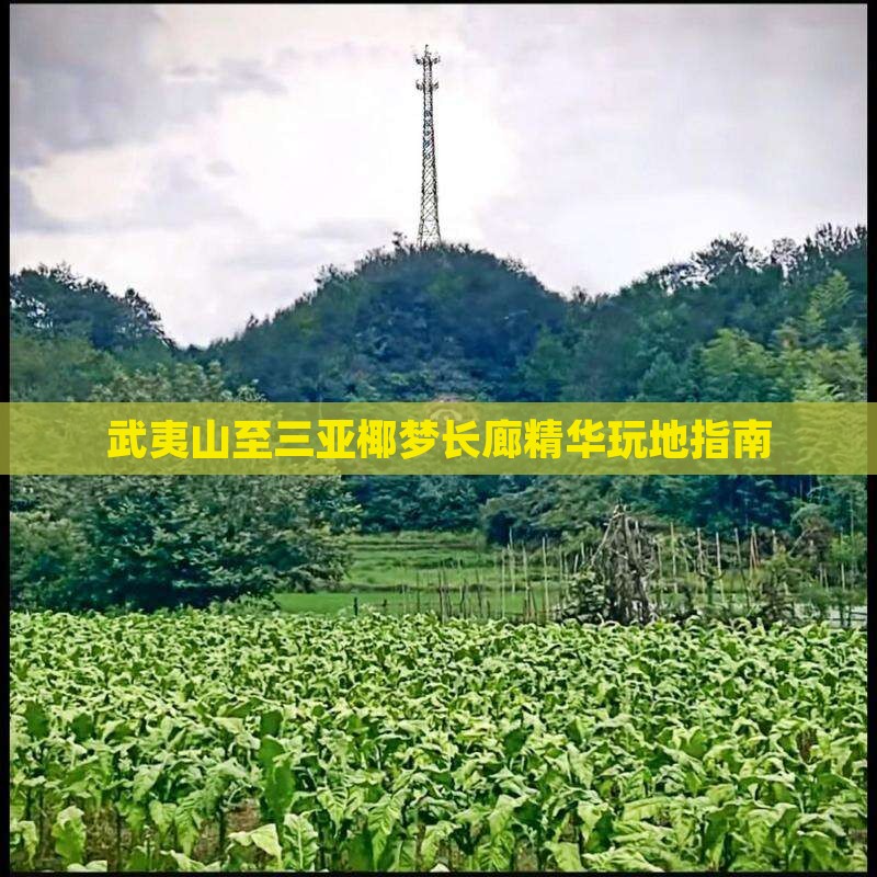 武夷山至三亚椰梦长廊精华玩地指南