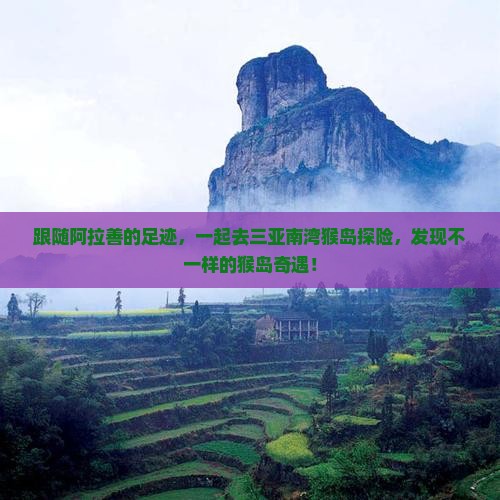 跟随阿拉善的足迹，一起去三亚南湾猴岛探险，发现不一样的猴岛奇遇！