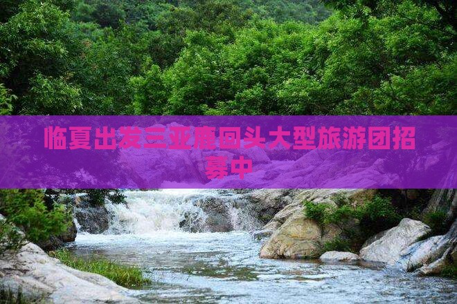 临夏出发三亚鹿回头大型旅游团招募中