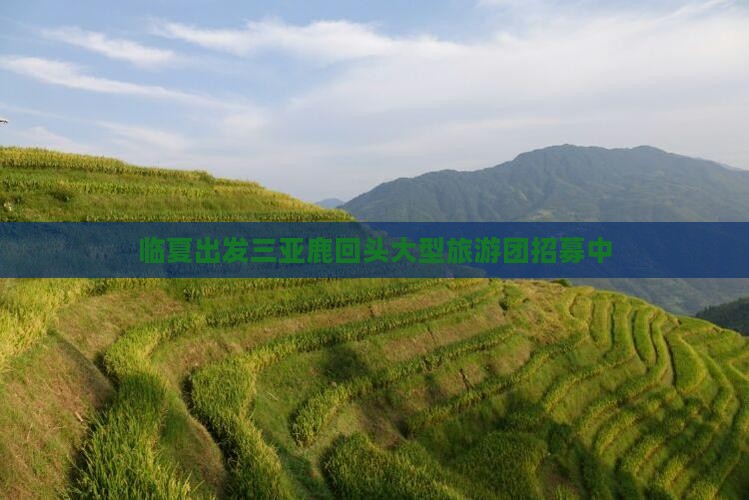 临夏出发三亚鹿回头大型旅游团招募中