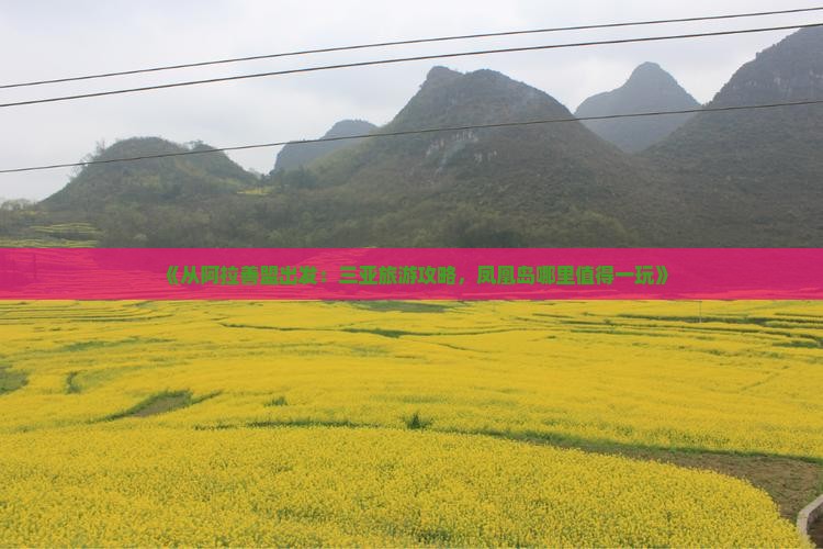 《从阿拉善盟出发：三亚旅游攻略，凤凰岛哪里值得一玩》