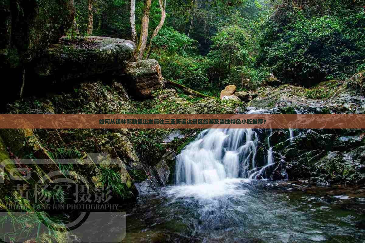 如何从锡林郭勒盟出发前往三亚呀诺达景区旅游及当地特色小吃推荐？