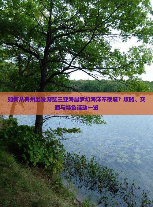 如何从梅州出发游览三亚海昌梦幻海洋不夜城？攻略、交通与特色活动一览