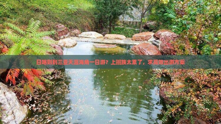 日喀则到三亚天涯海角一日游？上班族太累了，求高效出游方案