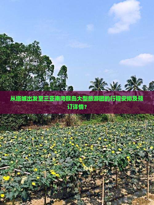 从塔城出发至三亚南湾猴岛大型旅游团的行程安排及预订详情？