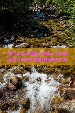 如何从遵义出发，选择三亚海昌梦幻海洋不夜城旅行社解决旅游痛点，提升旅行体验？