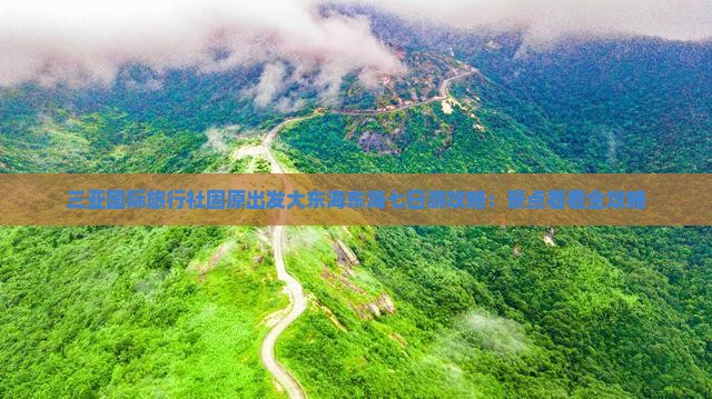 三亚国际旅行社固原出发大东海东海七日游攻略：景点看看全攻略