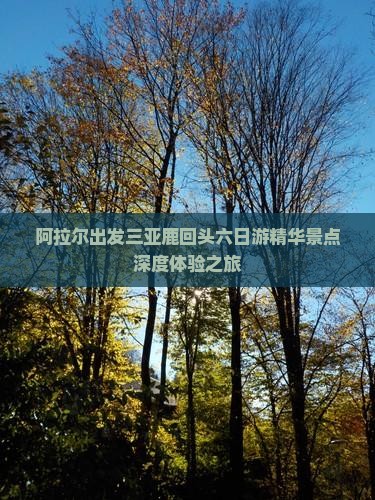 阿拉尔出发三亚鹿回头六日游精华景点深度体验之旅