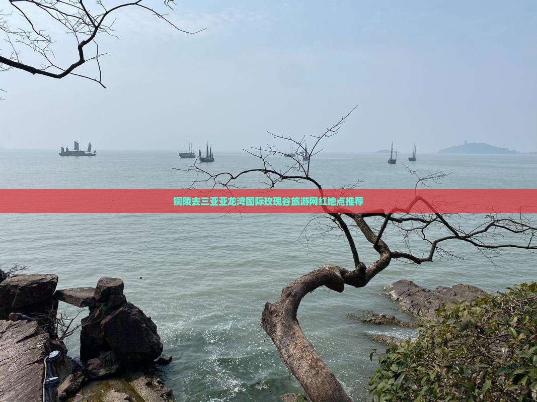 铜陵去三亚亚龙湾国际玫瑰谷旅游网红地点推荐