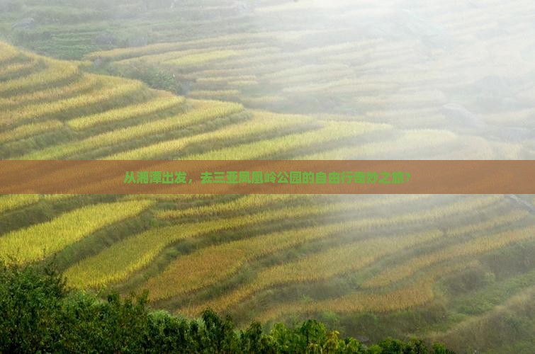 从湘潭出发，去三亚凤凰岭公园的自由行奇妙之旅？