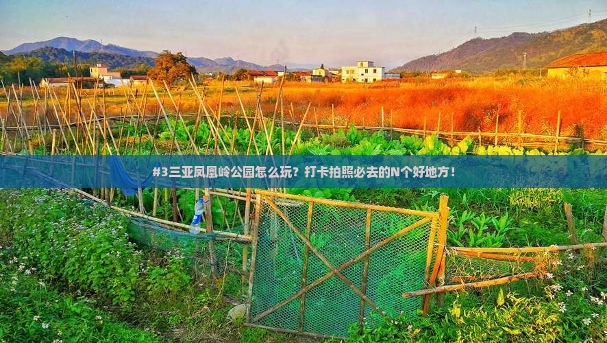 #3三亚凤凰岭公园怎么玩？打卡拍照必去的N个好地方！