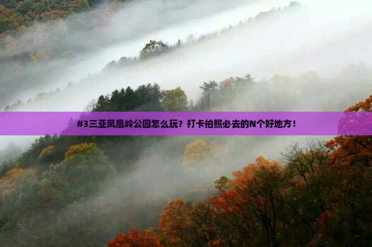 #3三亚凤凰岭公园怎么玩？打卡拍照必去的N个好地方！