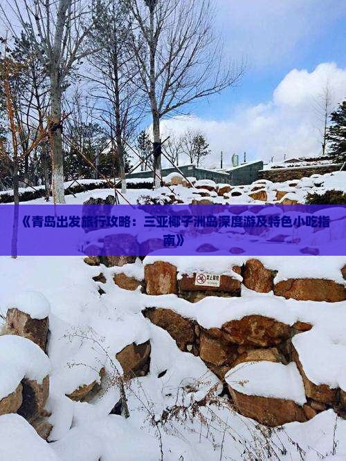 《青岛出发旅行攻略：三亚椰子洲岛深度游及特色小吃指南》