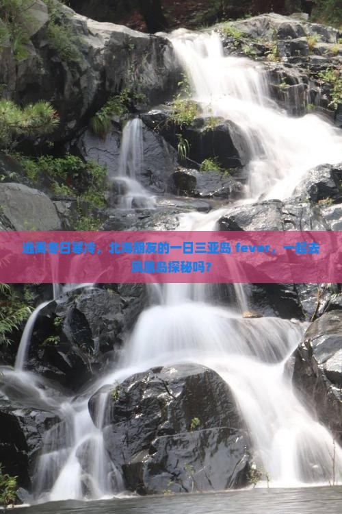 逃离冬日寒冷，北海朋友的一日三亚岛 fever，一起去凤凰岛探秘吗？