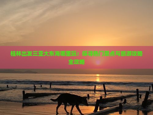 桂林出发三亚大东海哪里玩：探寻热门景点与旅游攻略全攻略