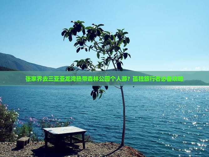 张家界去三亚亚龙湾热带森林公园个人游？孤独旅行者必备攻略