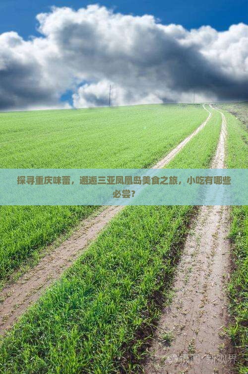 探寻重庆味蕾，邂逅三亚凤凰岛美食之旅，小吃有哪些必尝？