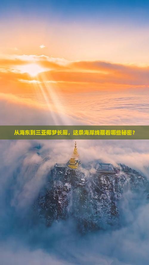 从海东到三亚椰梦长廊，这条海岸线藏着哪些秘密？