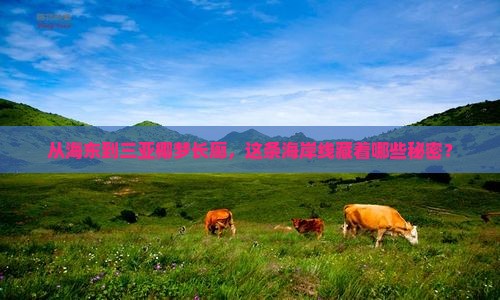 从海东到三亚椰梦长廊，这条海岸线藏着哪些秘密？