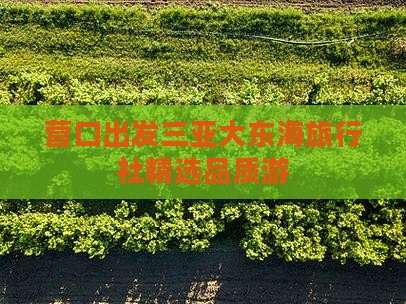 营口出发三亚大东海旅行社精选品质游