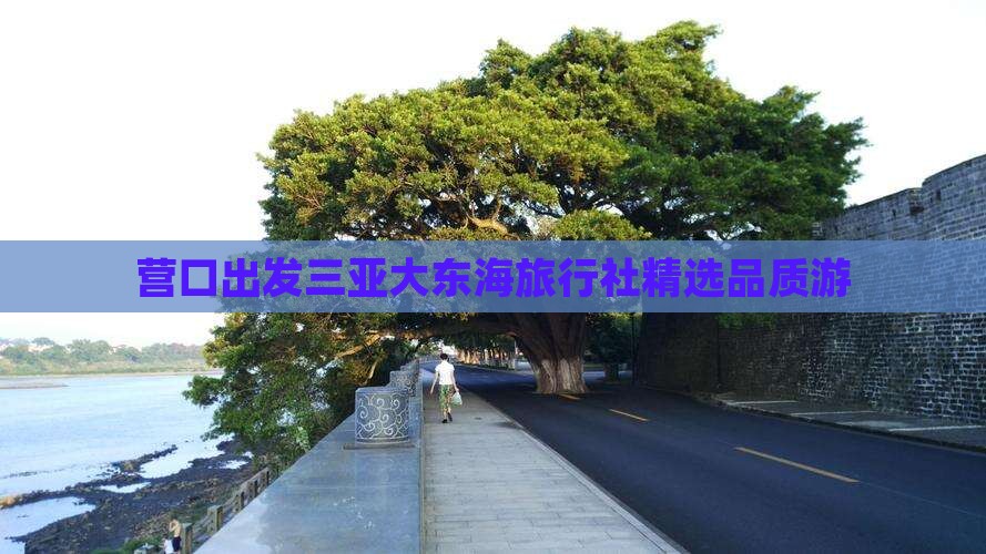 营口出发三亚大东海旅行社精选品质游